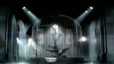 Miley Cyrus Can't Be Tamed music video